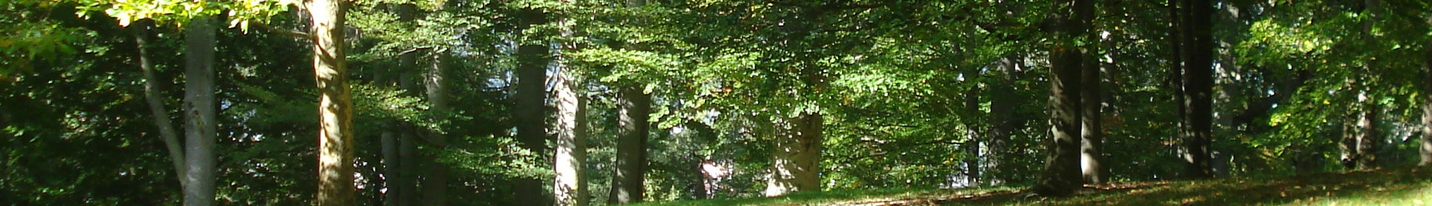 Gamma World Evolution